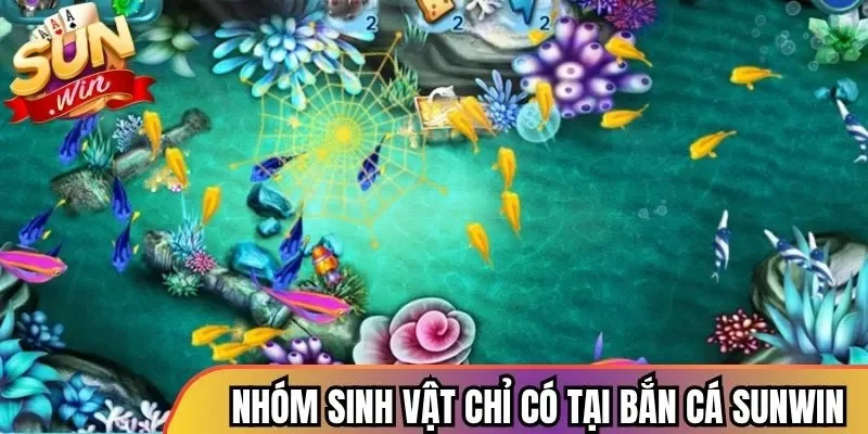 Các nhóm sinh vật chỉ có tại bắn cá Sunwin 
