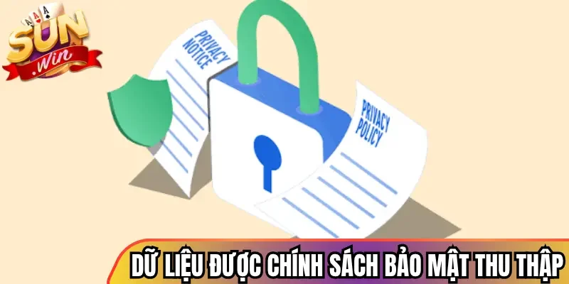Nhóm dữ liệu được chính sách bảo mật thu thập
