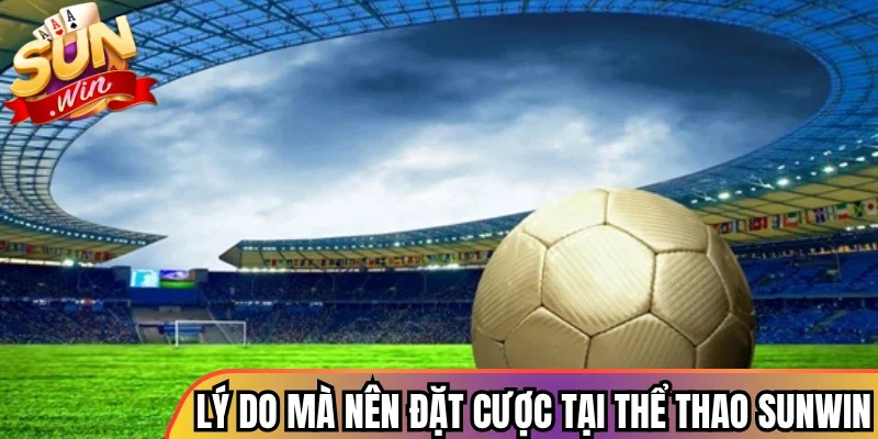Lý do mà người chơi nên đặt cược tại thể thao Sunwin